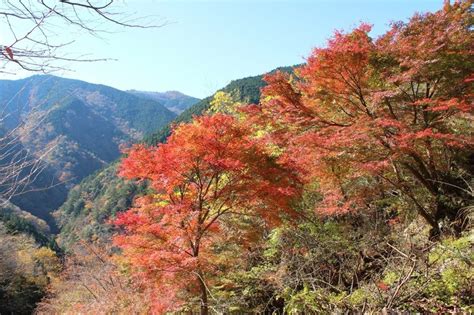 紅葉 風水